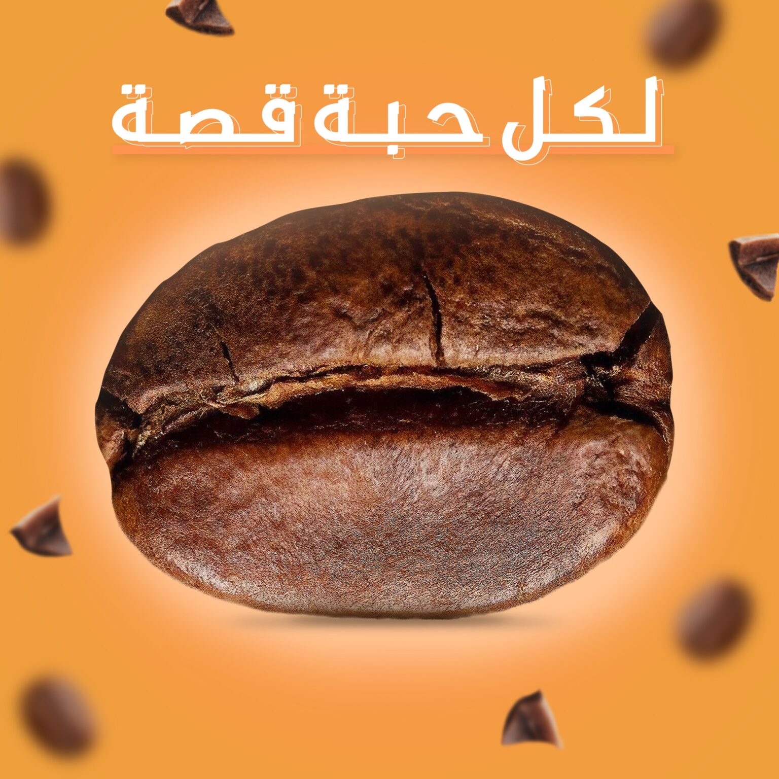 480922790_1547938919481065_1396450268630798390_n