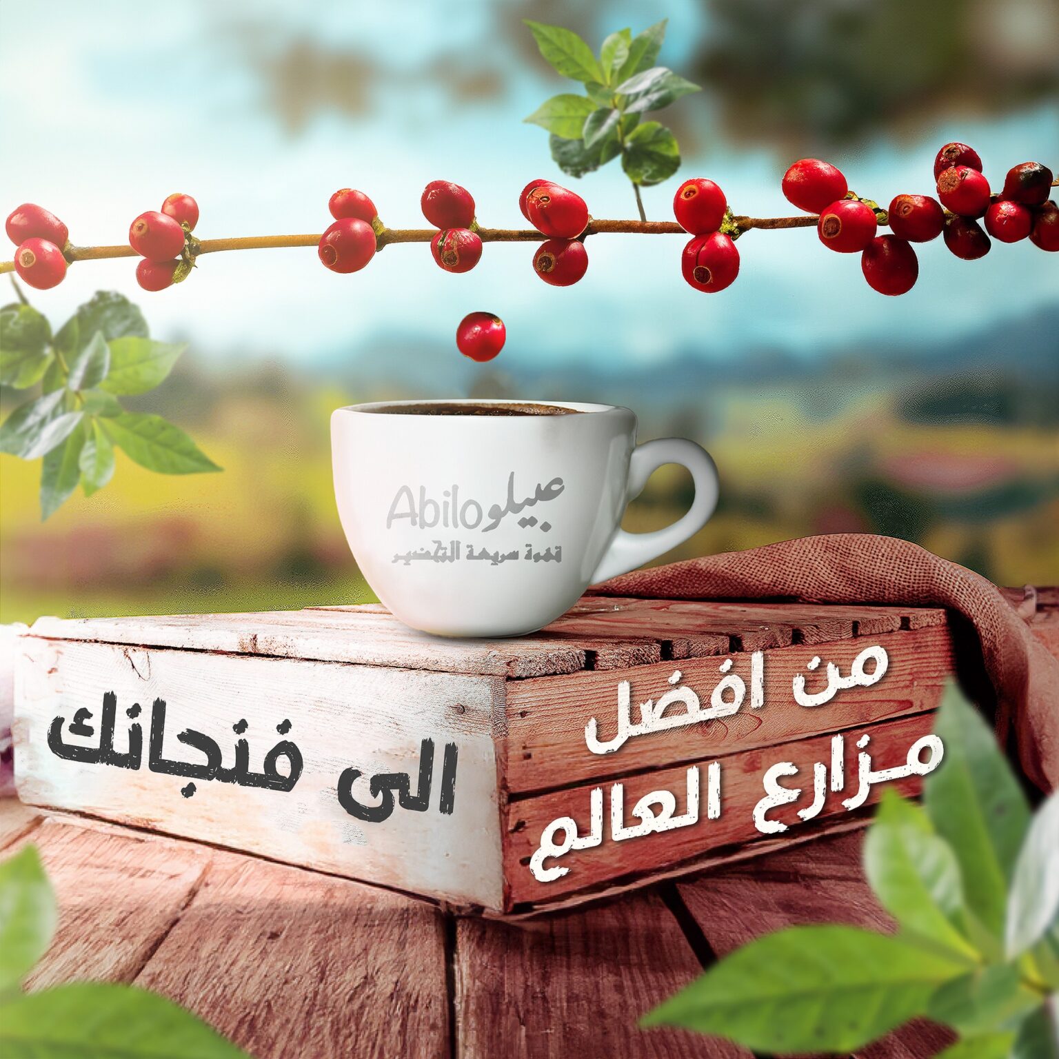 481131564_1551545839120373_3252894676629924029_n