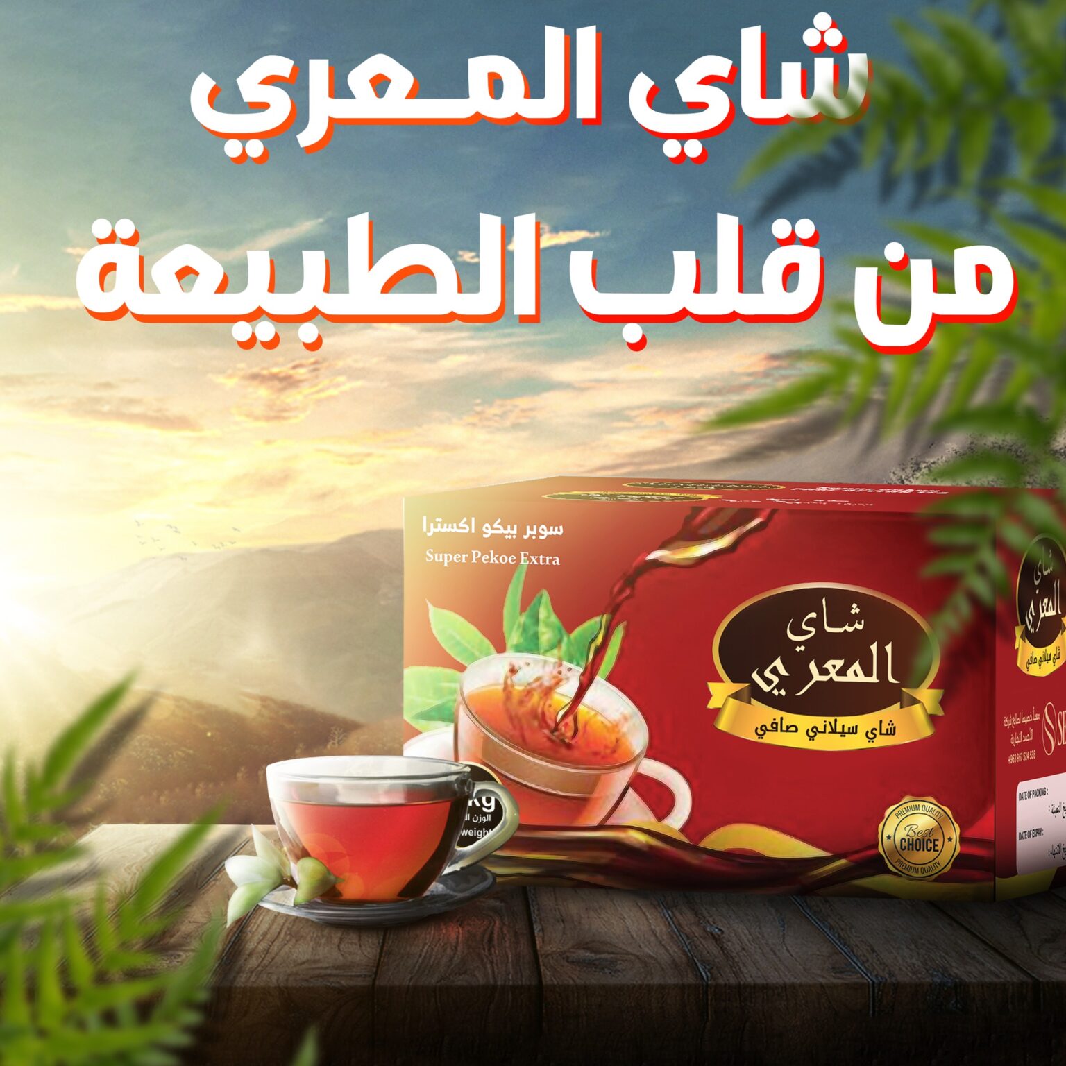 482007542_1555437158731241_4540749945664585247_n