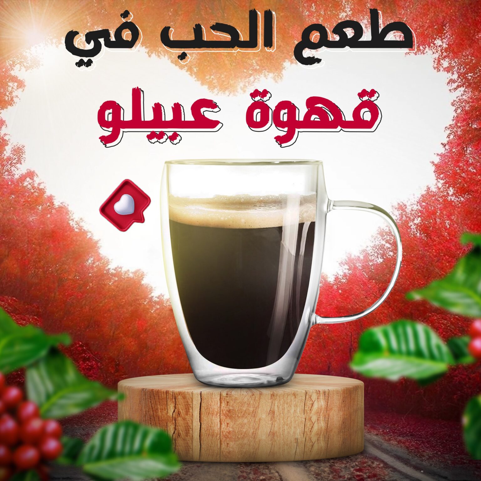 482122215_1554426692165621_3898305341959604801_n