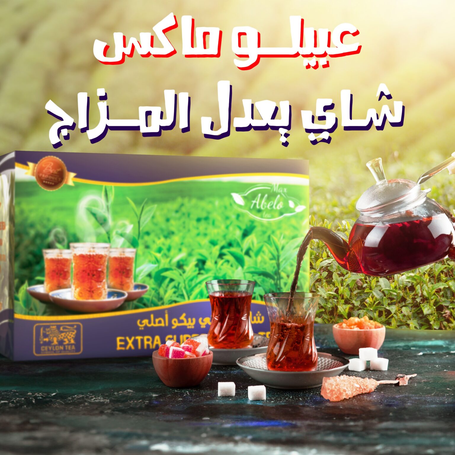 482301878_1554519368823020_6064380662267725695_n