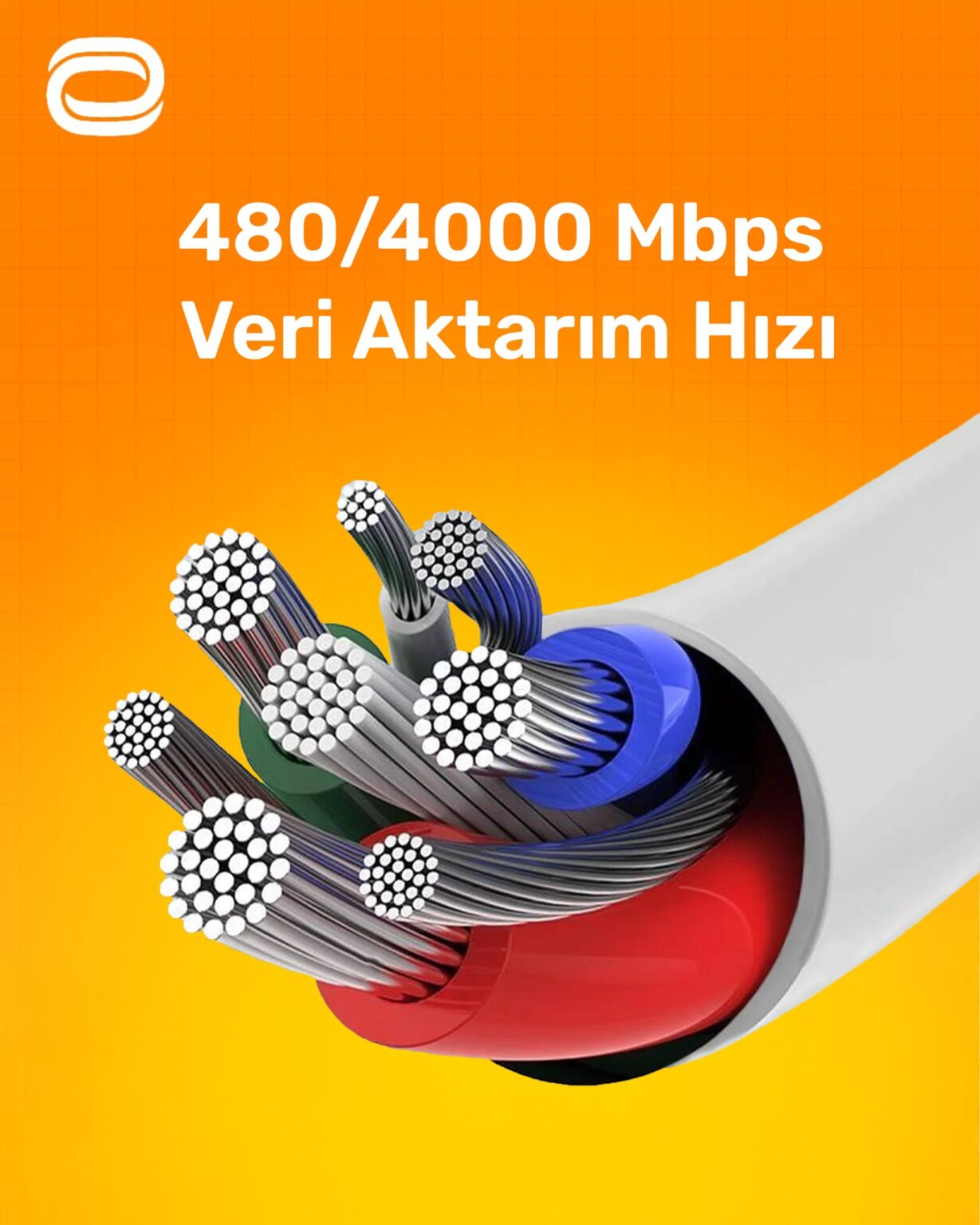 493817847_1232845695514223_8285451953204114206_n