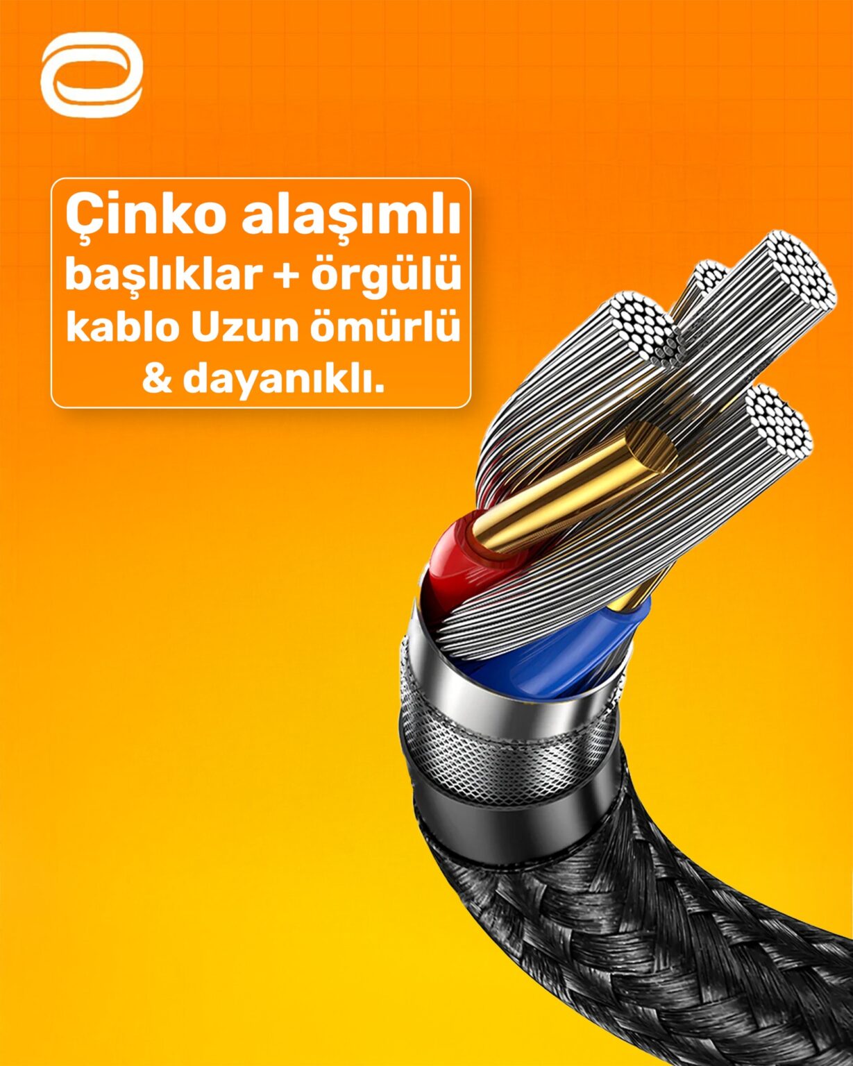 495602557_1239636414835151_6633967347402909707_n